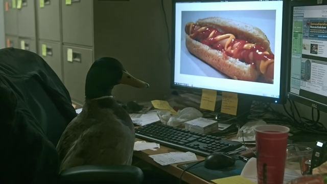 MotherDuck post creative